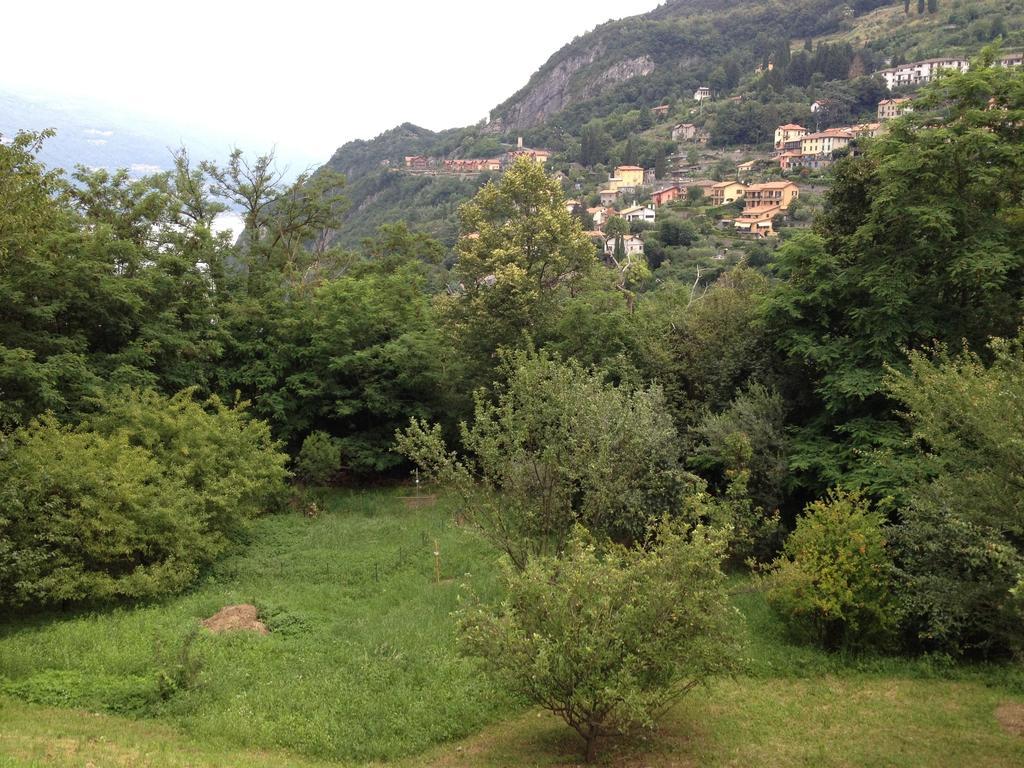 Villa Caterina Perledo Room photo